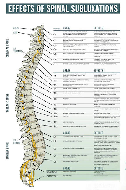 Effects of Spinal Subluxation