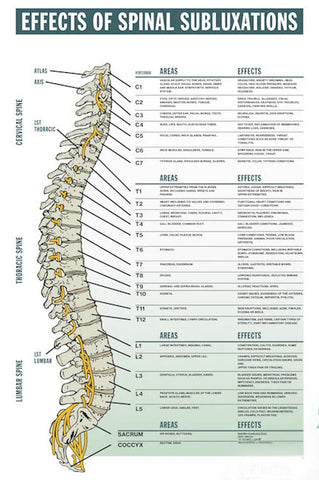 Effects of Spinal Subluxation