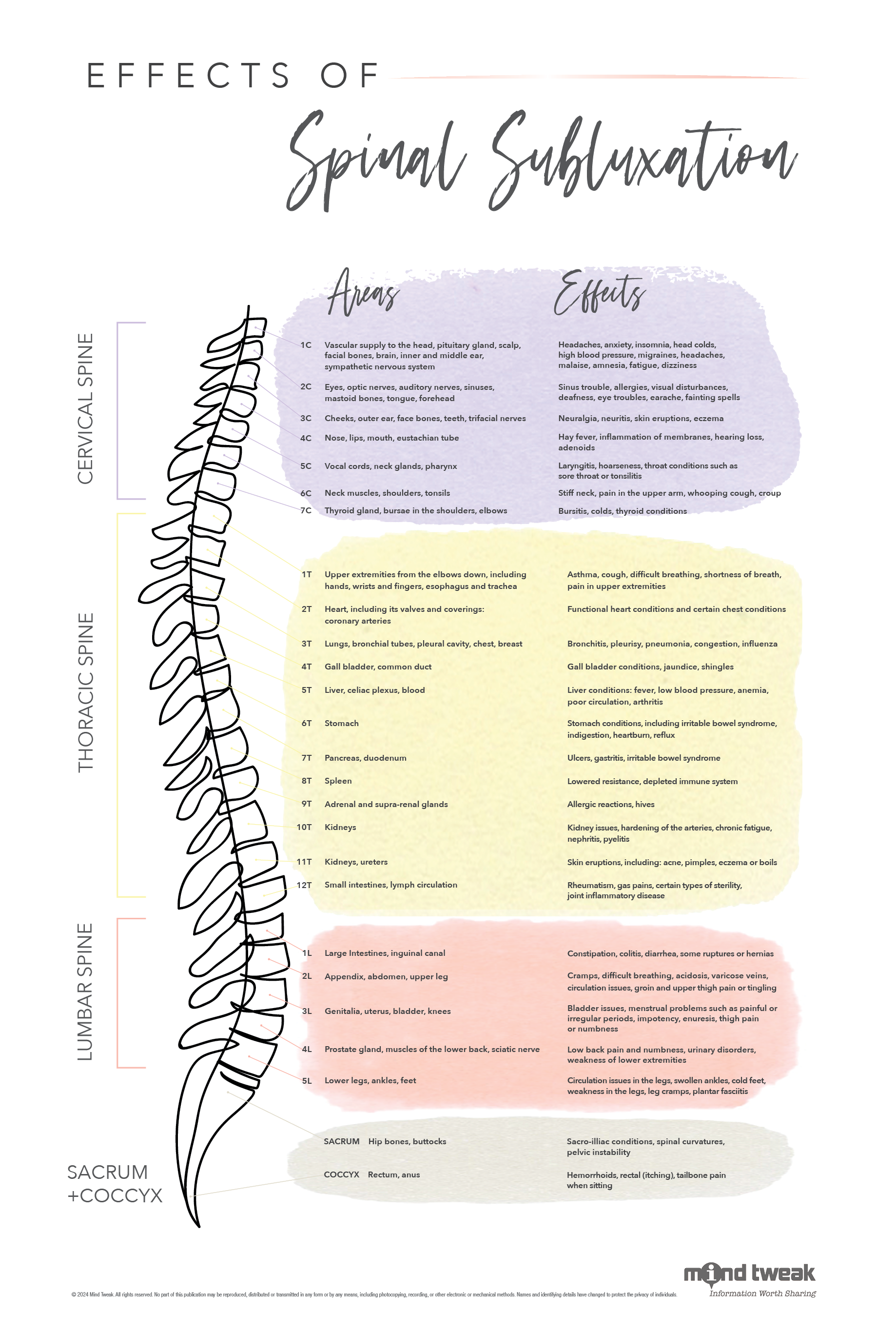 Mid-Modern Effects of Spinal Subluxation