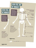 Out of Whack