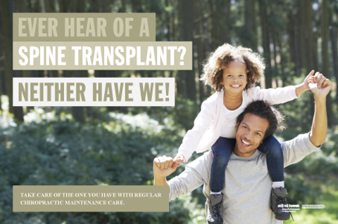 If Your Spine Wears Out