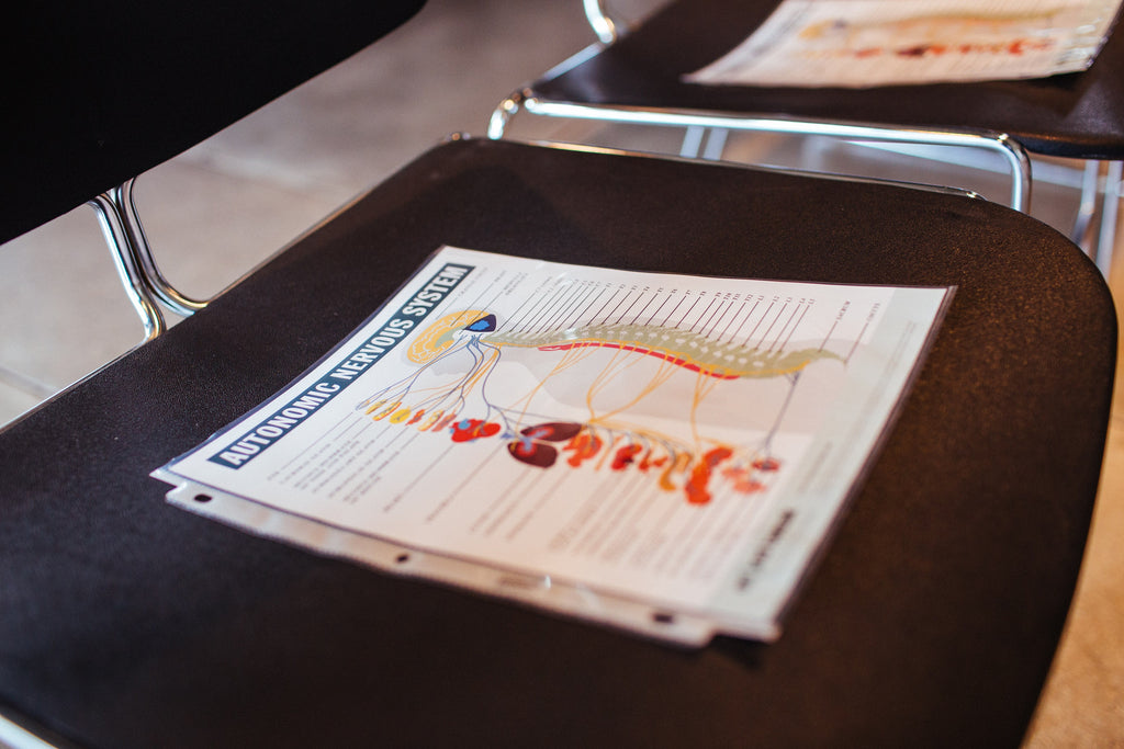 Autonomic Nervous System