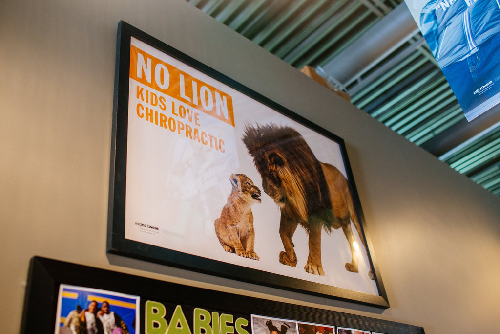 No Lion