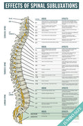 Effects of Spinal Subluxation - JUMBO SIZE