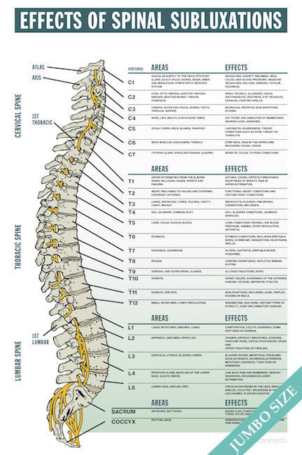 Effects of Spinal Subluxation - JUMBO SIZE