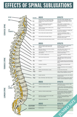 Effects of Spinal Subluxation - JUMBO SIZE
