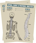 Spinal Curve & Postural Analysis