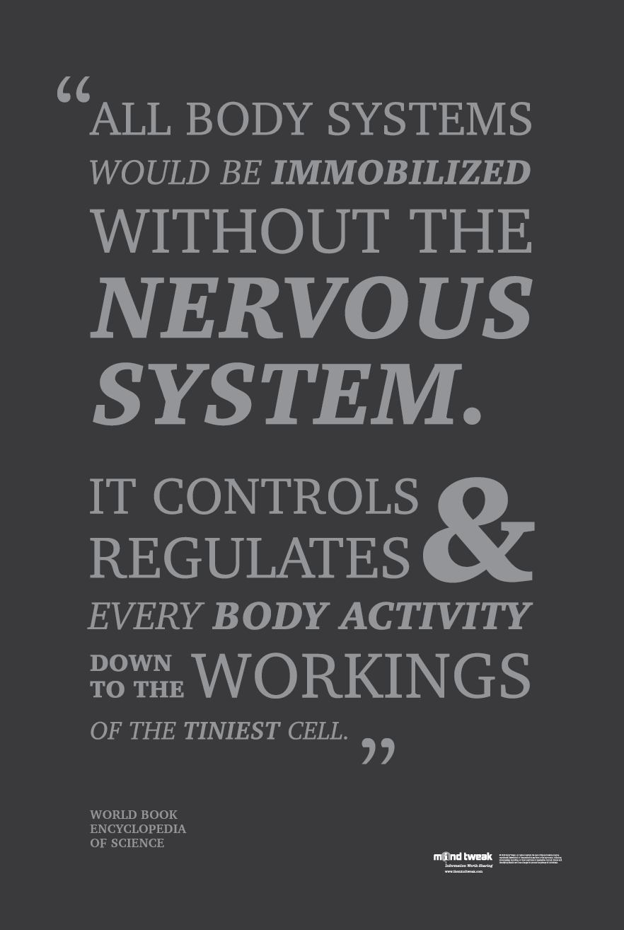 Nervous System