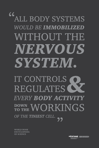Nervous System